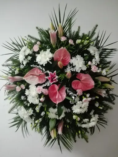 Dom Pogrzebowy ANIMUS Grudziądz Usługi Pogrzebowe